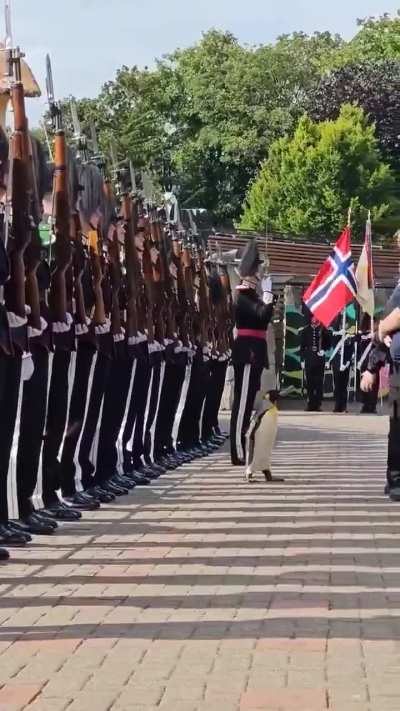 Emperor inspecting the troops.