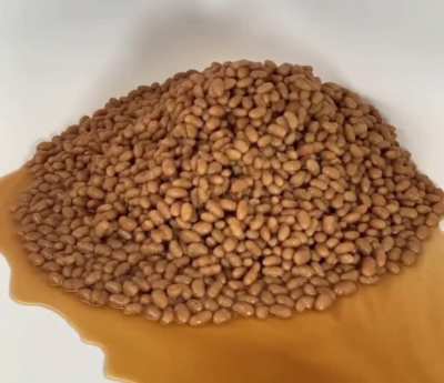 Watching a hat made of frozen beans melt, then reform