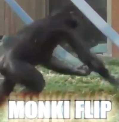 me_irl