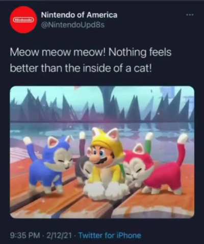NINTENDO NO