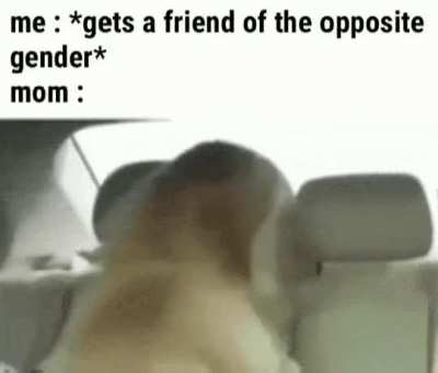 Is this your gaaaaalfrieeeeend