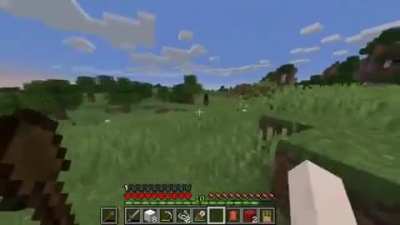 Oh, that's the enderman