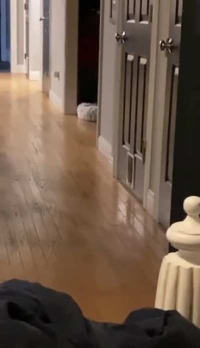 Стиль не пропьёшь