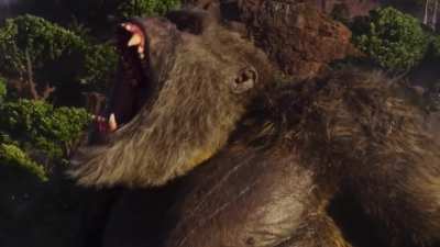 I missed the part where that’s my problem- Kong