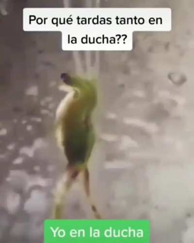 OLE MI NI&Ntilde;A BELLA