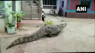 Mallu going to Karnataka