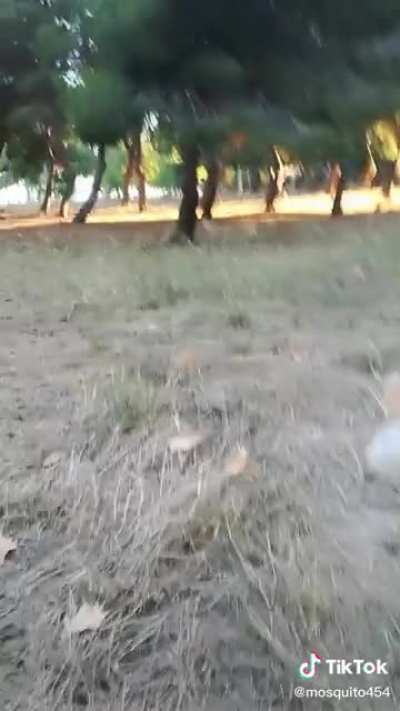 la mayor corrida de mi vida.
