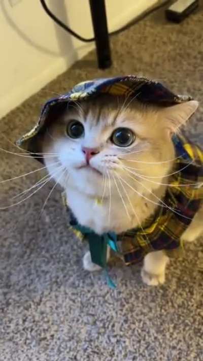Someone told me this belongs here&hellip;