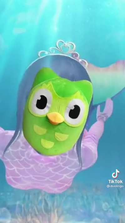 From the official Duolingo page 😦