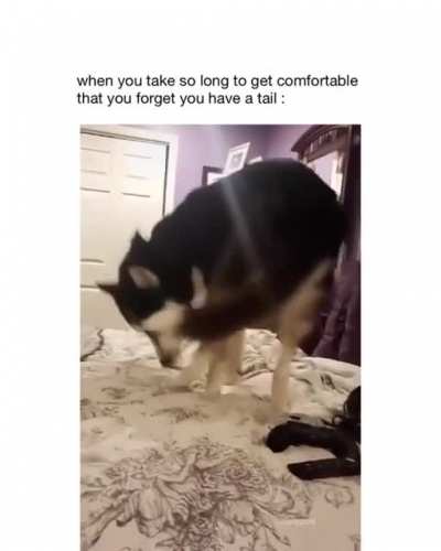 Woof irl