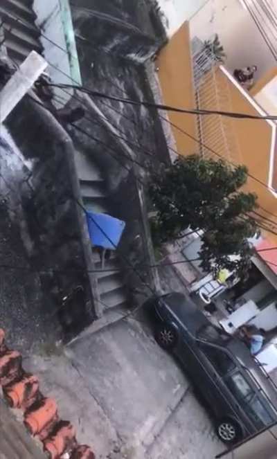 WCGW sliding on stairs