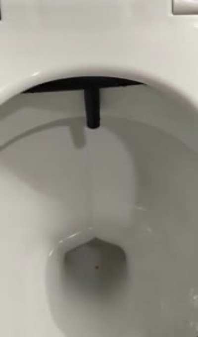 Idk what to title this and it shouldn&rsquo;t really matter anyways