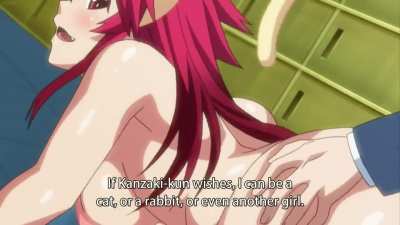 Cat Girls Are The Best! (Itadaki! Seieki)