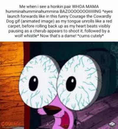 I love breasts and hate women