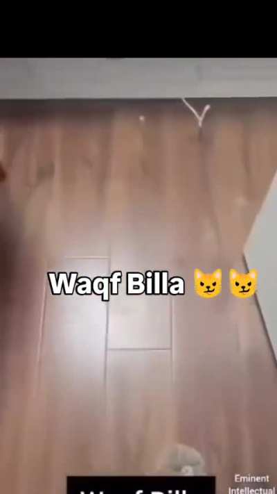waqf board explain in 10 second