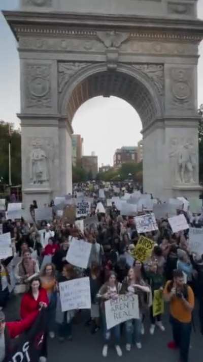 2,000 at the NYC Birds Aren&rsquo;t Real rally. History.