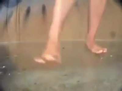 Asian cricket stomp