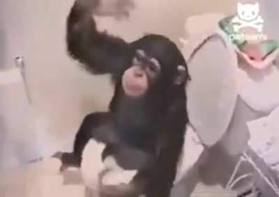 Monkey rule