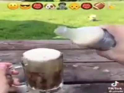 Diet Coke