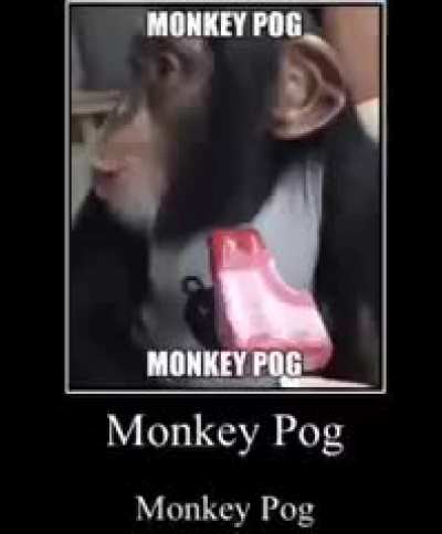 Monkey pog