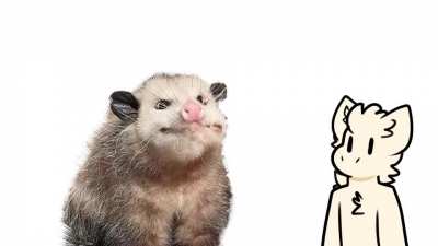Furry_irl