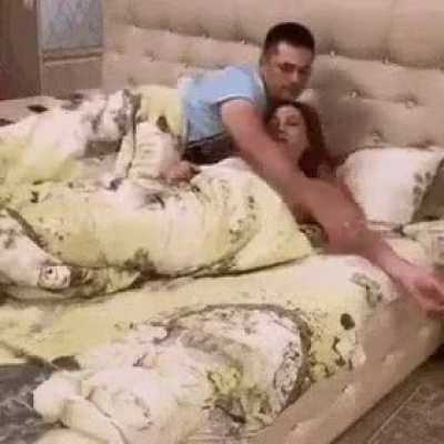 1:1