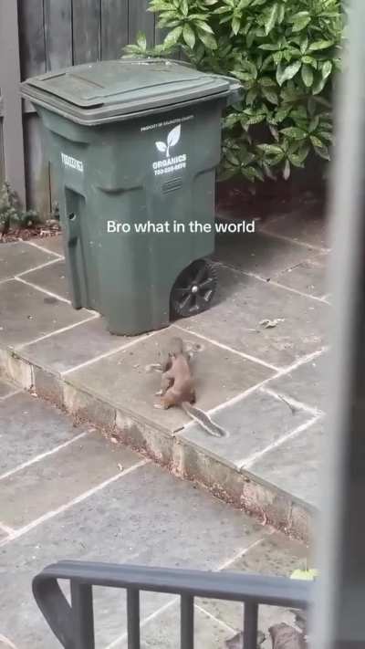 These wunks are sinners