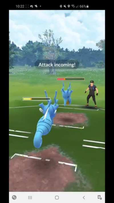 Kingdra mirror, can somebody explain what happened here?