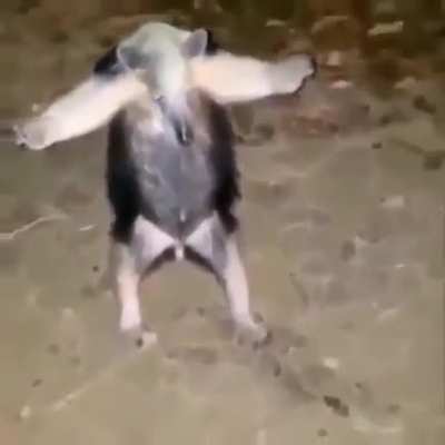 😶