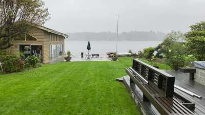 Peaceful morning rain in Washington.