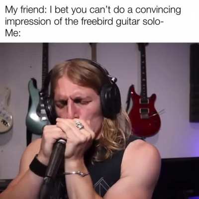Freebird Status
