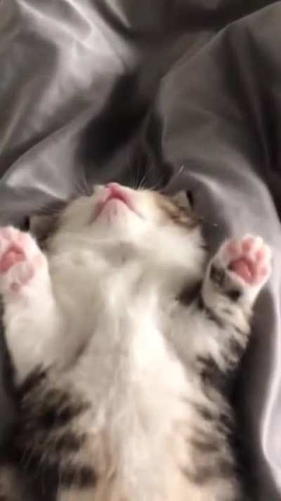 sleepy