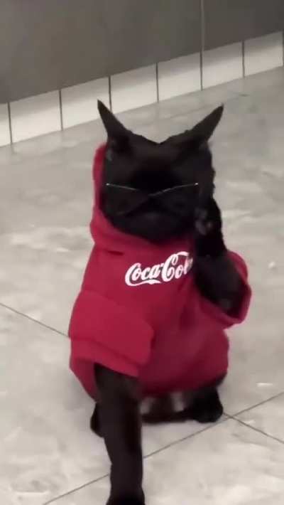 Wunk has the drip