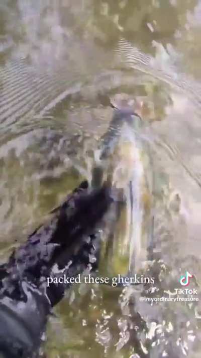 Mudlarker finds an intact bottle of pickles that&rsquo;s at least 114 years old at the bottom of a river