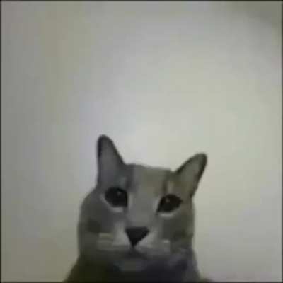 Ru