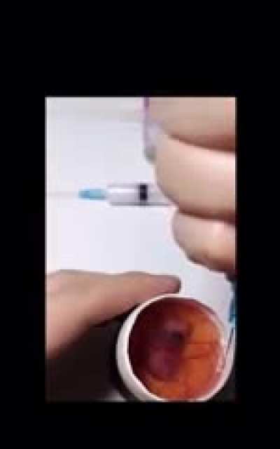Live egg
