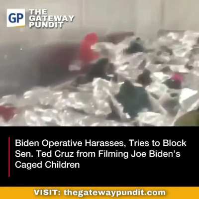 Ted Cruz visits the disaster at the border, democrat shill blocks the visit.