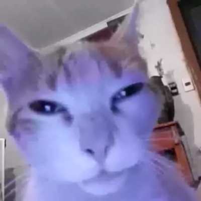 ffuck you !