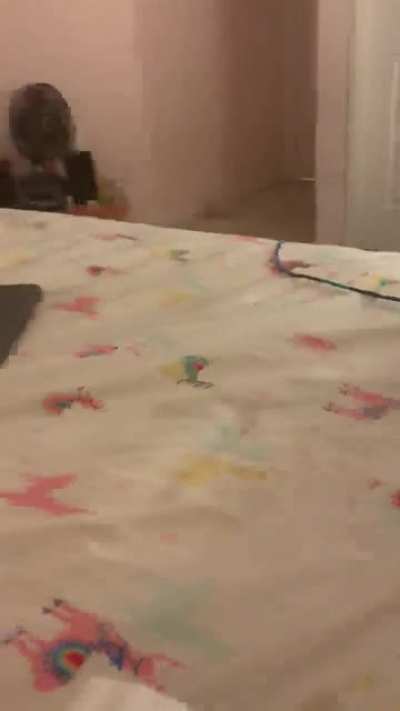 Unleash the cat attack