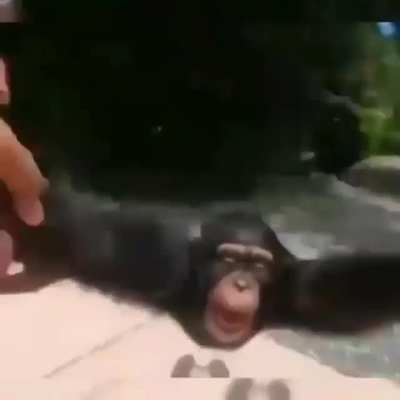 :D