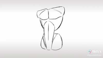 How to draw a torso