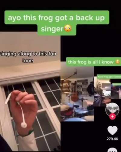 The Frog Made A Band!