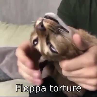 FLOPPA NOOOOO
