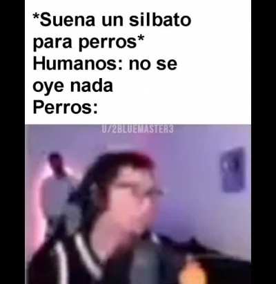 Un meme del espa&ntilde;ol griton (HD edition)
