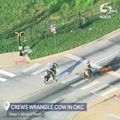 cowboy art
