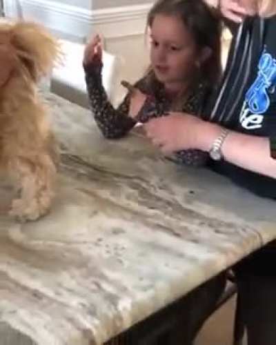 melhor m&atilde;e do mundo