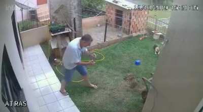 Getting rid of ants