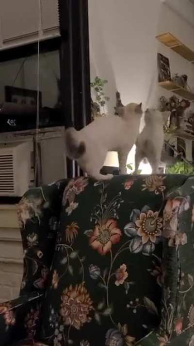 Spooked herself