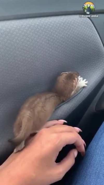 Nice place to sleep
