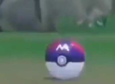 Moldy bidoof prime